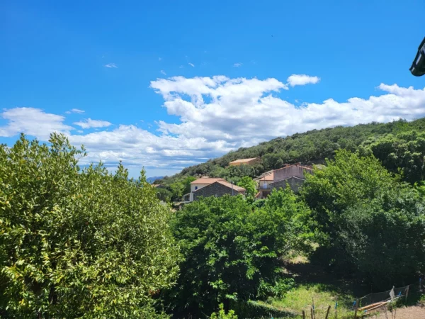Location saisonnière - L'Hangar - Vu montagne 3